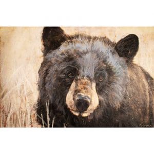 Bear Head (63-01) Paul Garbett